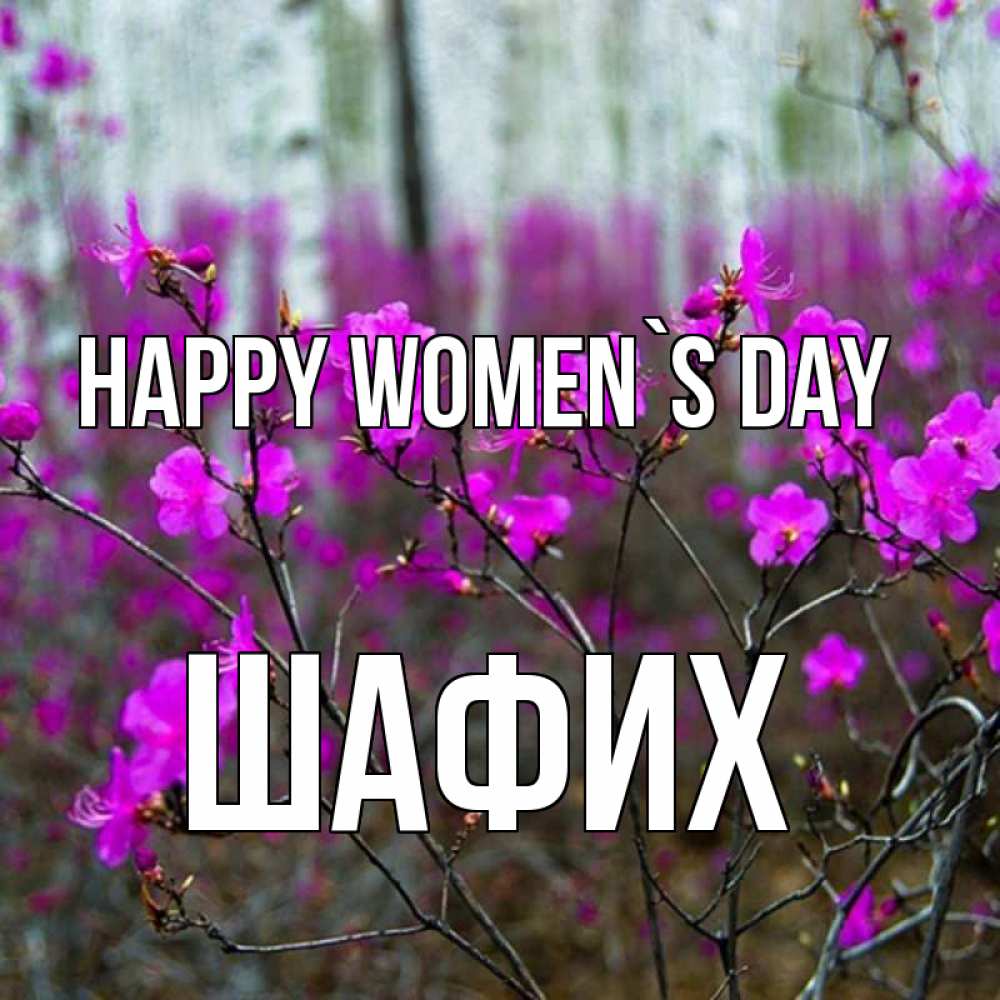 Greetings card с именем, ШАФИХ happy women`s day дикие цветы Greetings with text for free download 